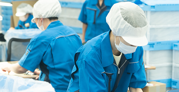 豊富な知見 イメージ01